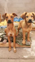 Cristal e Zara