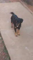 Não tem