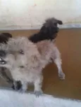 ADOTE <3