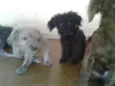 ADOTE <3