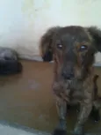 ADOTE <3