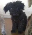 ADOTE <3