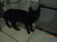 não tem nome