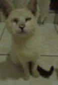 não tem nome