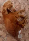 Mac