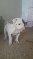 Nina