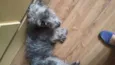 Pepa