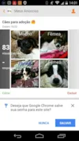 Filhotes  urgente