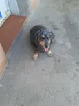 Lili