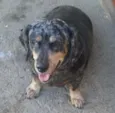 Lili