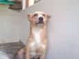 vida