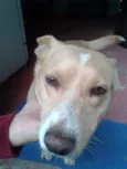 vida