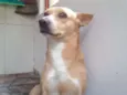 vida