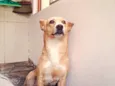vida