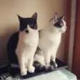 Pedro e Pablo