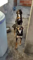mel,e pretinha