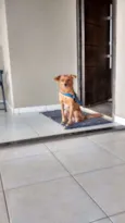 Spike