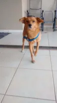 Spike