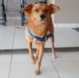Spike