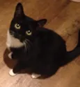 Frida