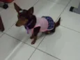 Belinha