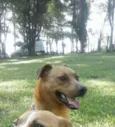 Johnny