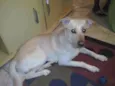 Bob