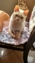 Mel