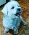 OLLY