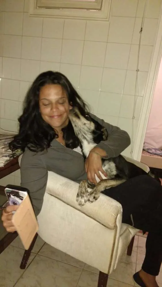 Cachorro ra a Vira-lata idade 1 ano nome Pepe
