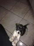 mel 