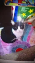 Princesa