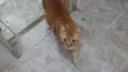 Lutero 