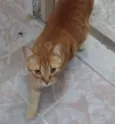 Lutero 