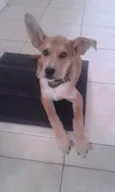 Marley