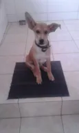 Marley