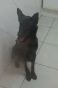 Colin