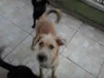 Fred