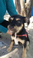 Kiara