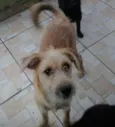 Fred
