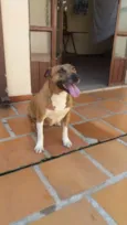 Kira
