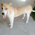 Príncipe