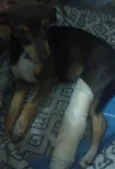 não tem nome