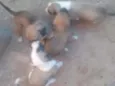 Ñ tem nome