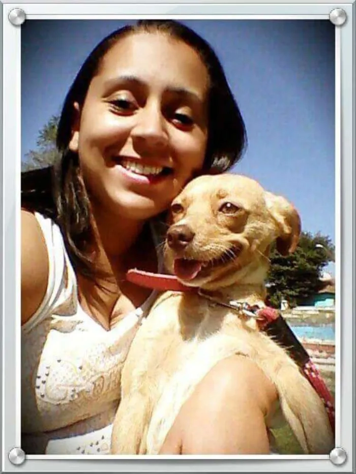 Cachorro ra a SRD idade 2 anos nome Mel