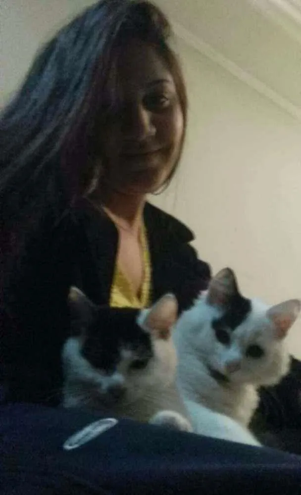 Gato ra a Não sei idade 2 a 6 meses nome Lulu e lili
