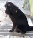 Neguinha