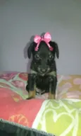 bebe peq porte