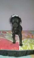 bebe peq porte