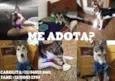 MENINA MINA